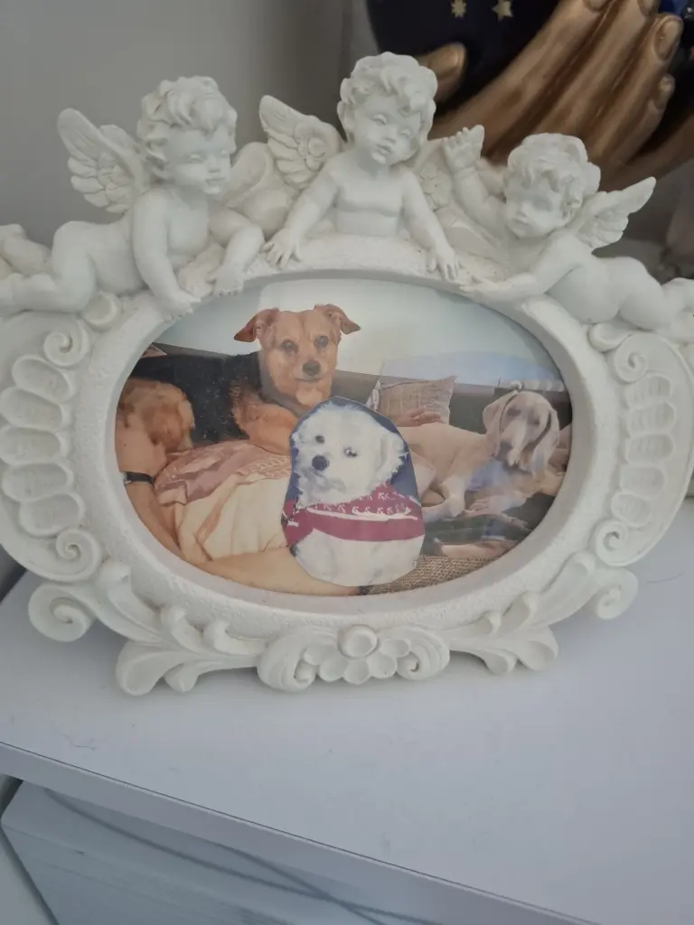 Condolence image of Christine Diaz Aguilera