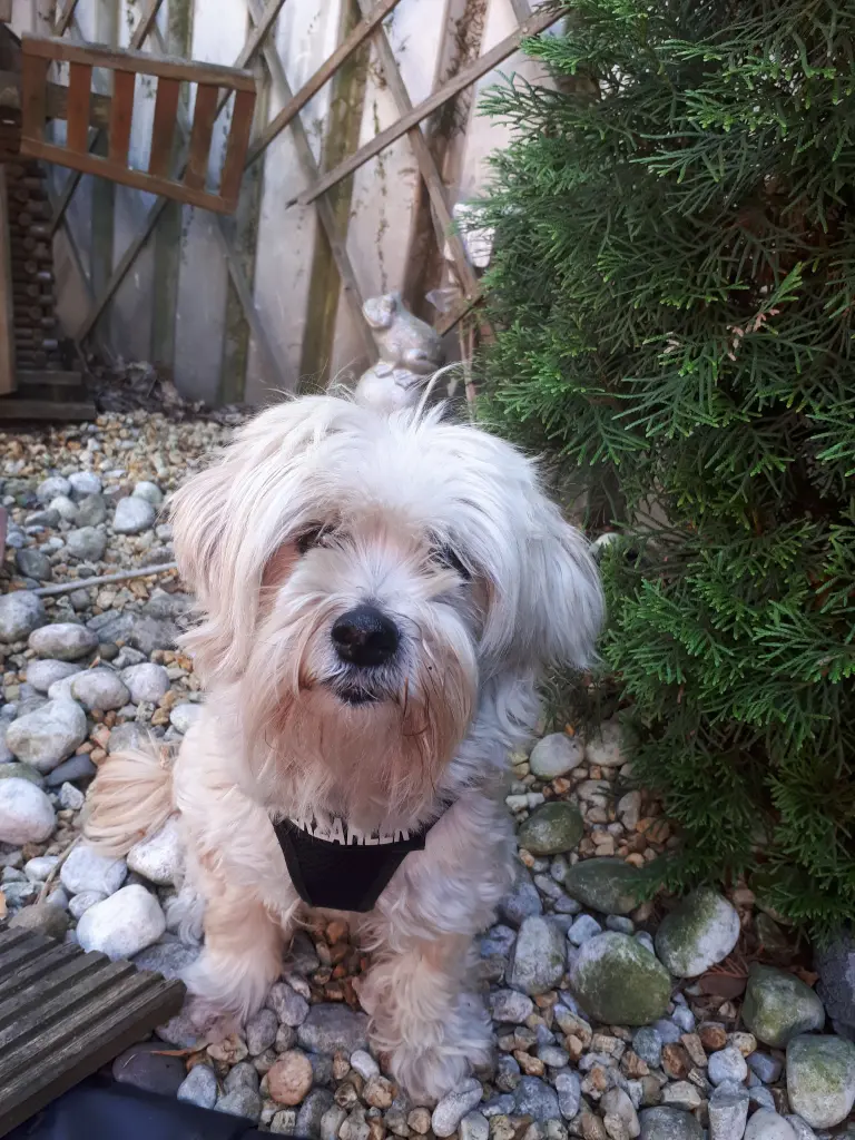 Condolence image of Bianca
