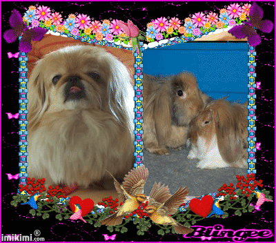 Image from meine geliebte Sina und Nagerchen