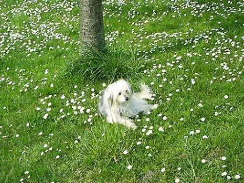 Image from Daisy my big love:*