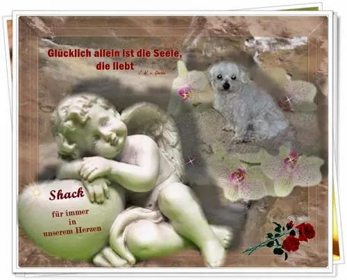 Image from Meinen kleinen Engel