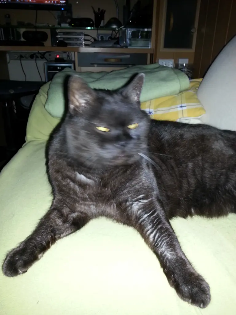 Image from Thommy
