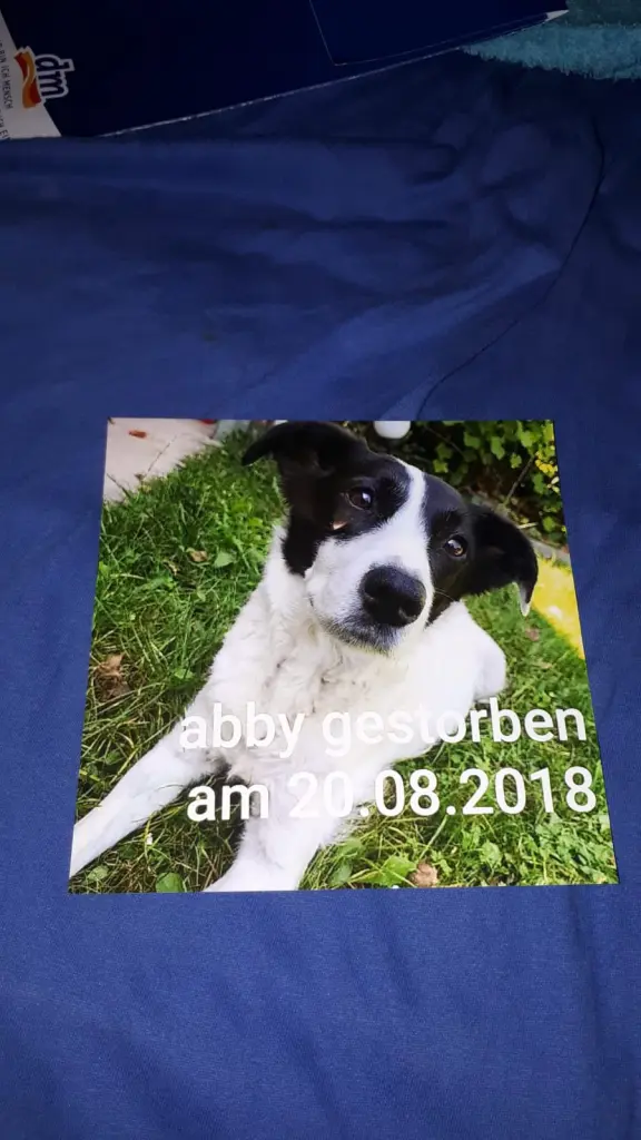 Image from Abby