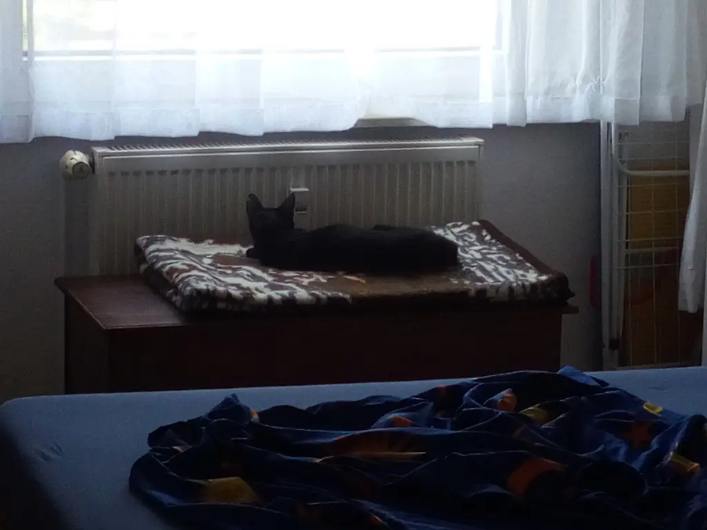 Image from Maja