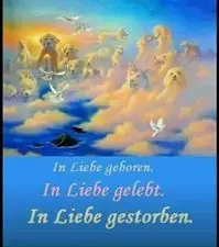 Condolence image of Brigitte