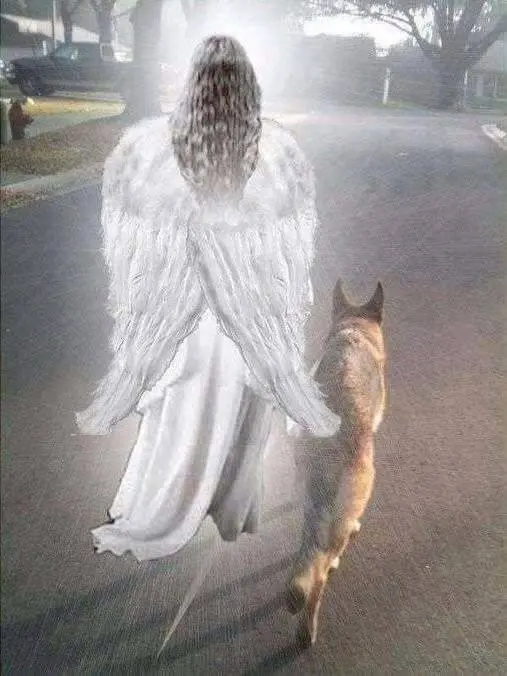 Condolence image of Brigitte
