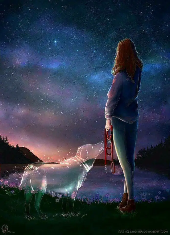 Condolence image of Brigitte
