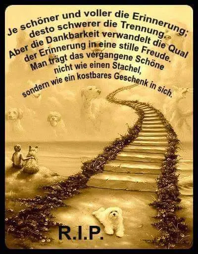 Condolence image of Birgit Wasielewski