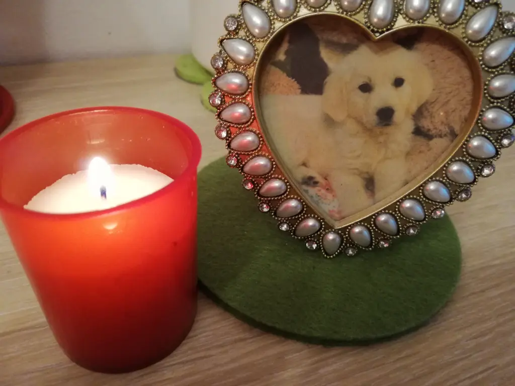 Condolence image of Hundemama 