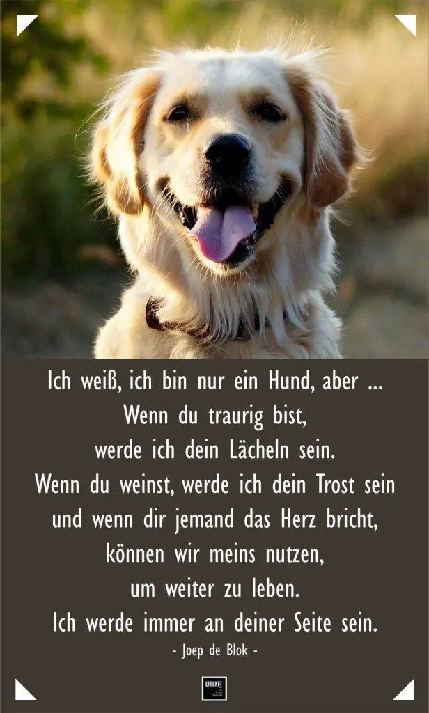 Condolence image of Hunde Mama
