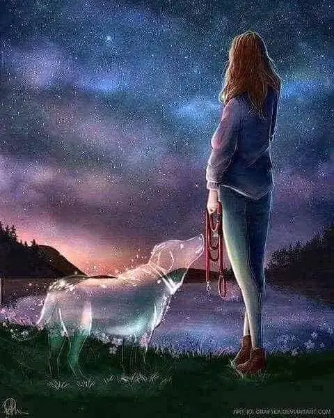 Condolence image of Deine Hundemama