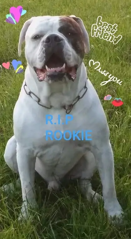 Andachtsbild von Melanie +Swen