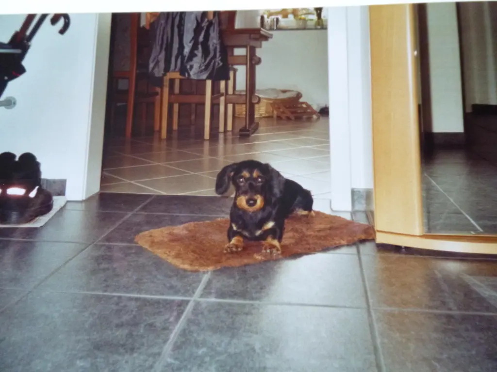Image from Lillie-Fee