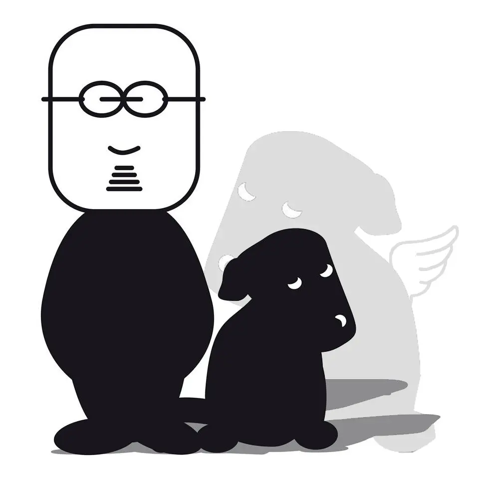 Image from Sam