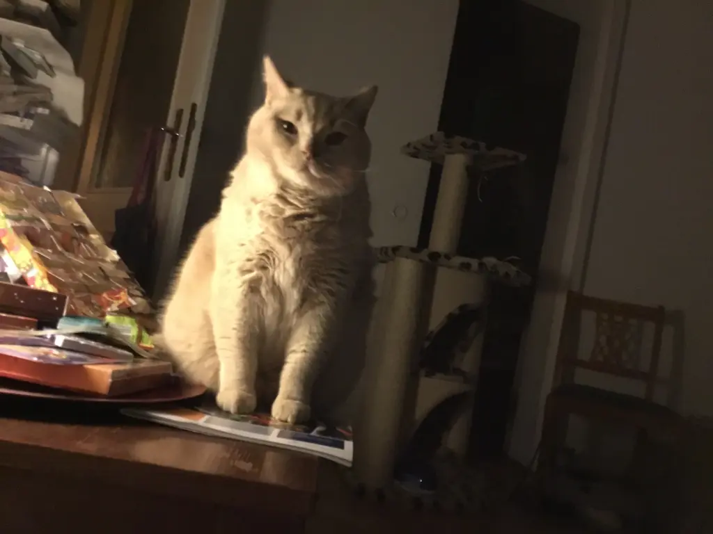 Andachtsbild von Anna-Carolin