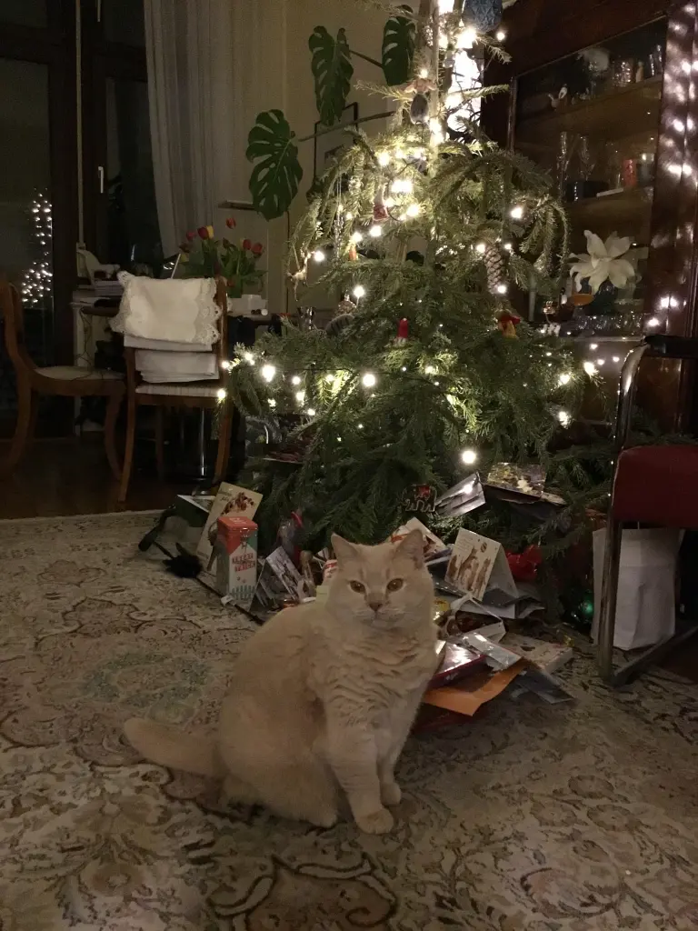 Andachtsbild von Anna-Carolin 