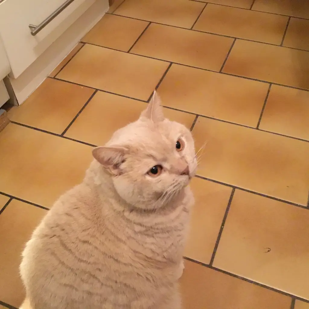 Andachtsbild von Anna-Carolin 