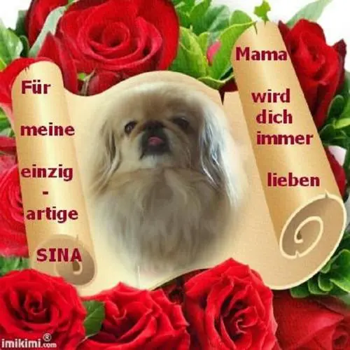 Image from meine einzigartige süße SINA