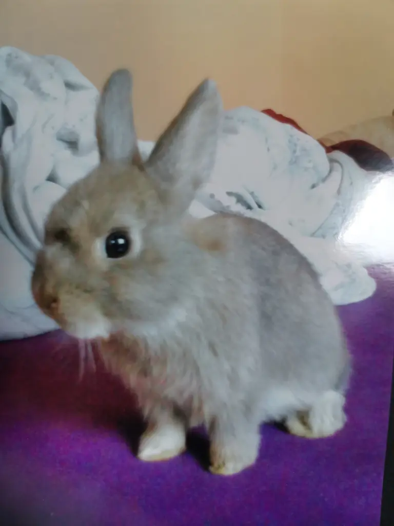 Condolence image of Jennifer