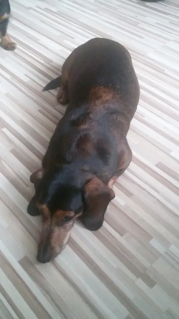 Image from Lola