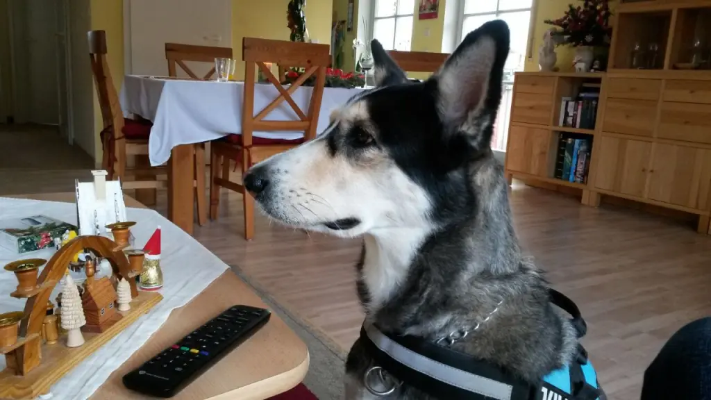 Andachtsbild von Jane