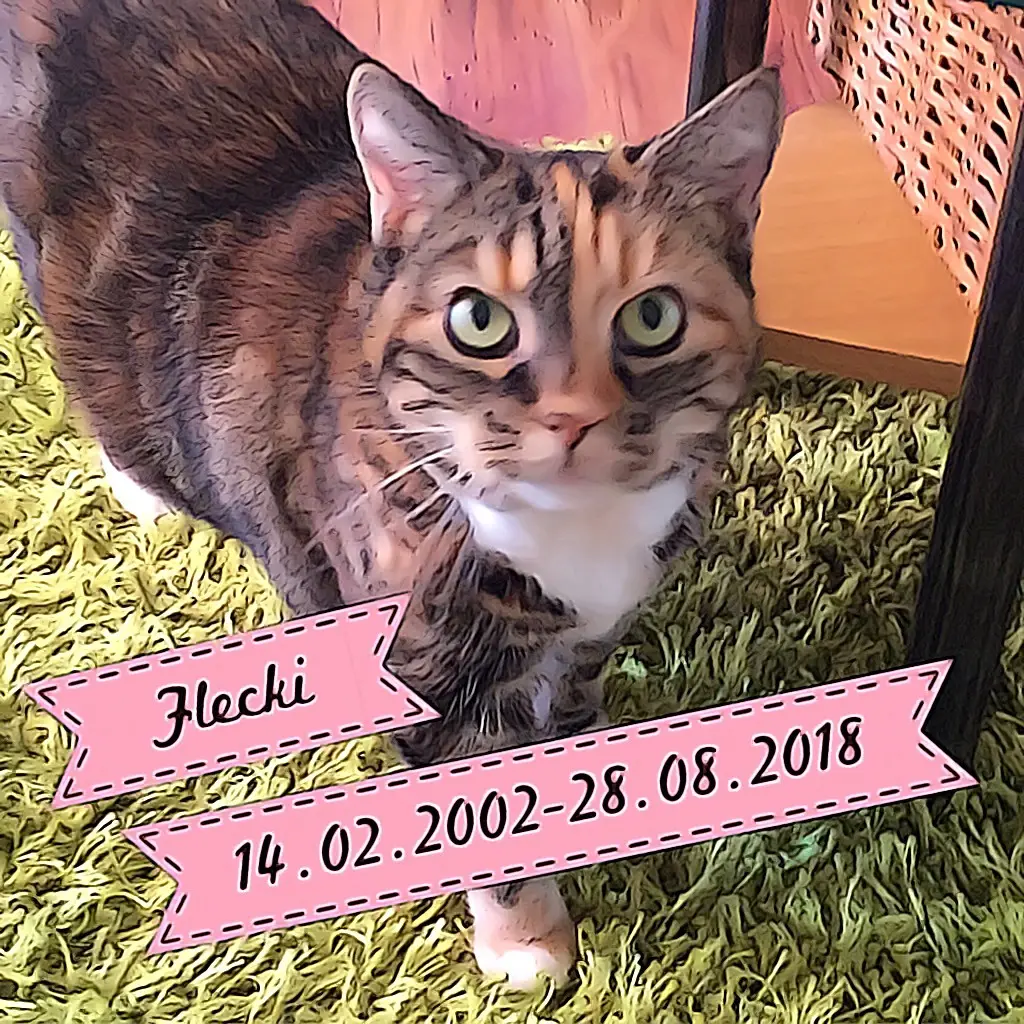 Image from Flecki