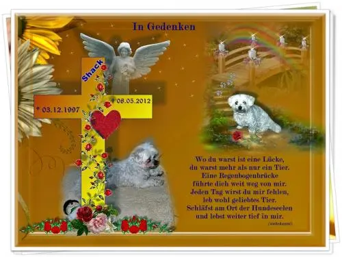 Image from meinen treuen und besten Freund