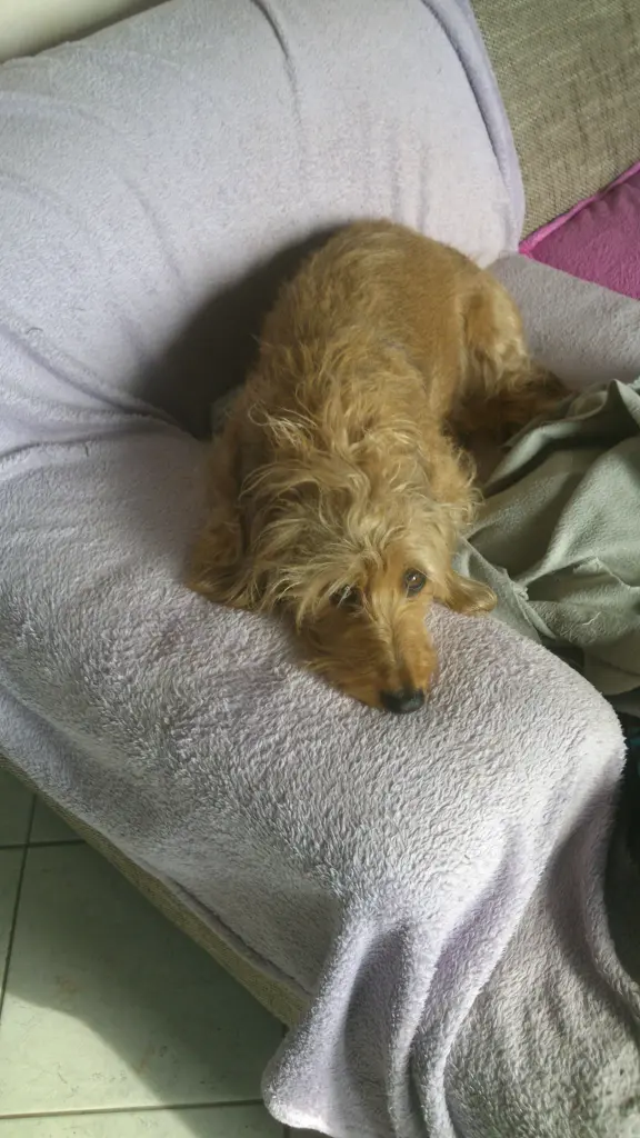 Bild von Sina