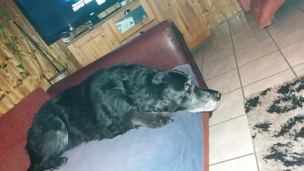 Bild von Lucky
