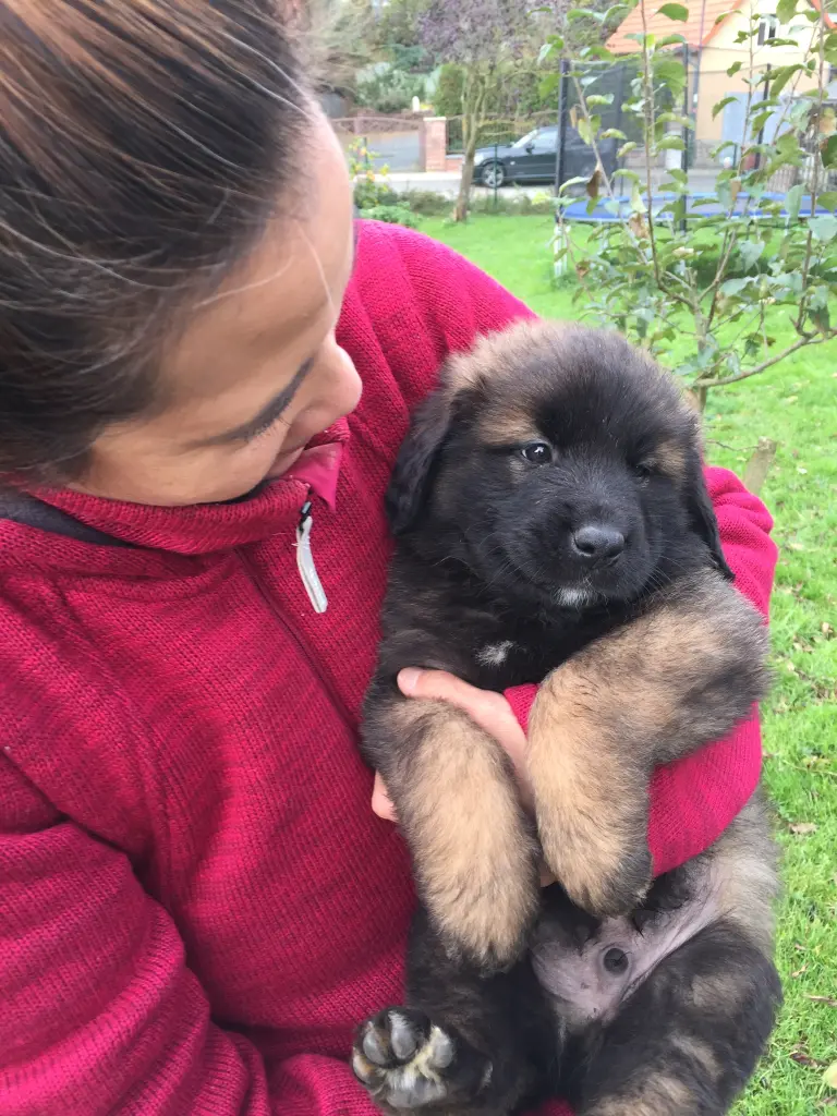 Bild von Echo
