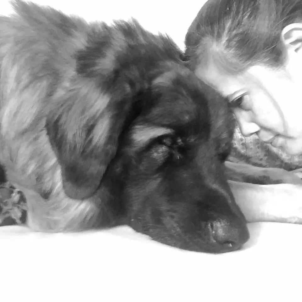 Bild von Echo
