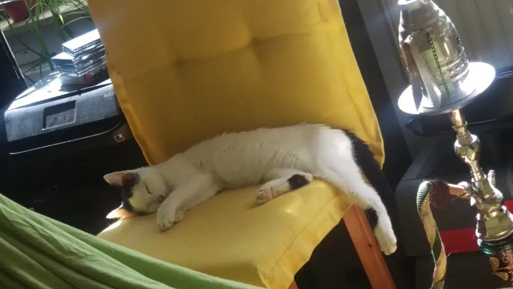 Bild von Fienchen alias Fieni, Fienimaus, Fienele und Fienibie