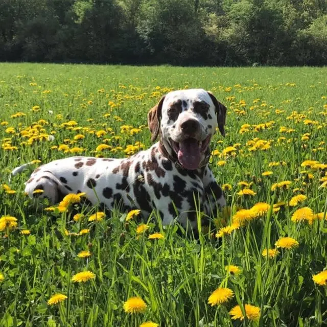 Bild von BaO