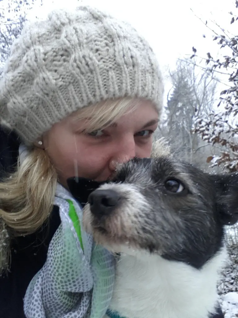 Bild von Rocky