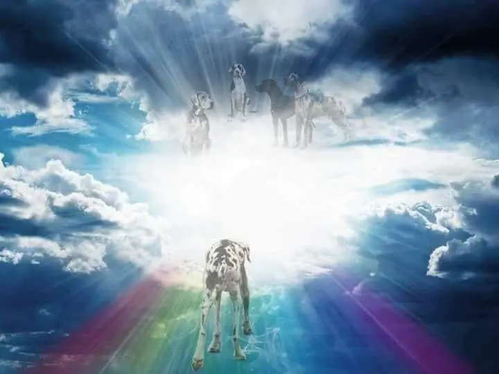 Condolence image of Caro mit Max im ♥