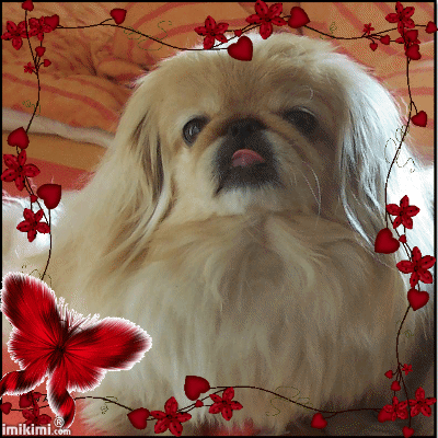 Image from meine kleine Prinzessin Sina