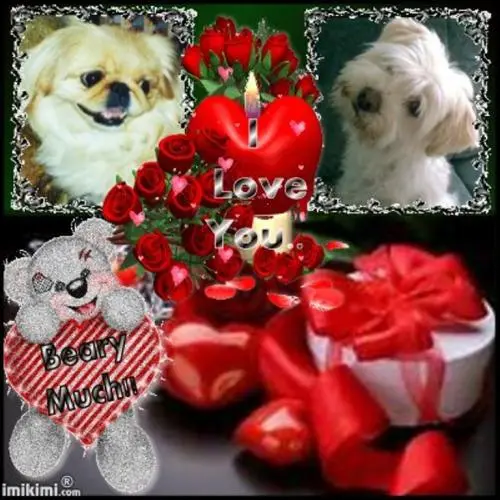 Image from Zwei Geburtstagskinder : SINA & TIFFANY