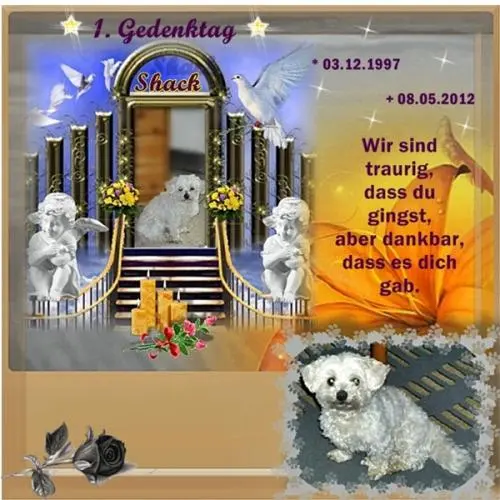 Image from meinen kleinen Engel