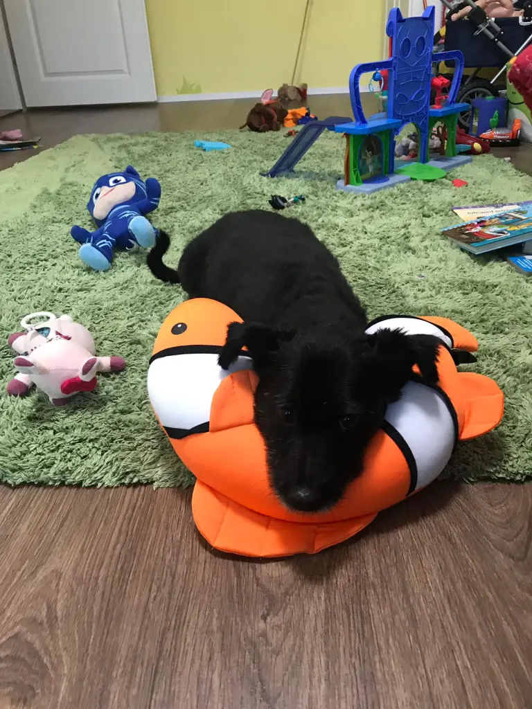 Andachtsbild von Margarita