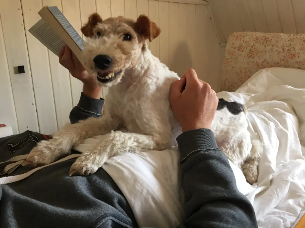 Bild von Timmy