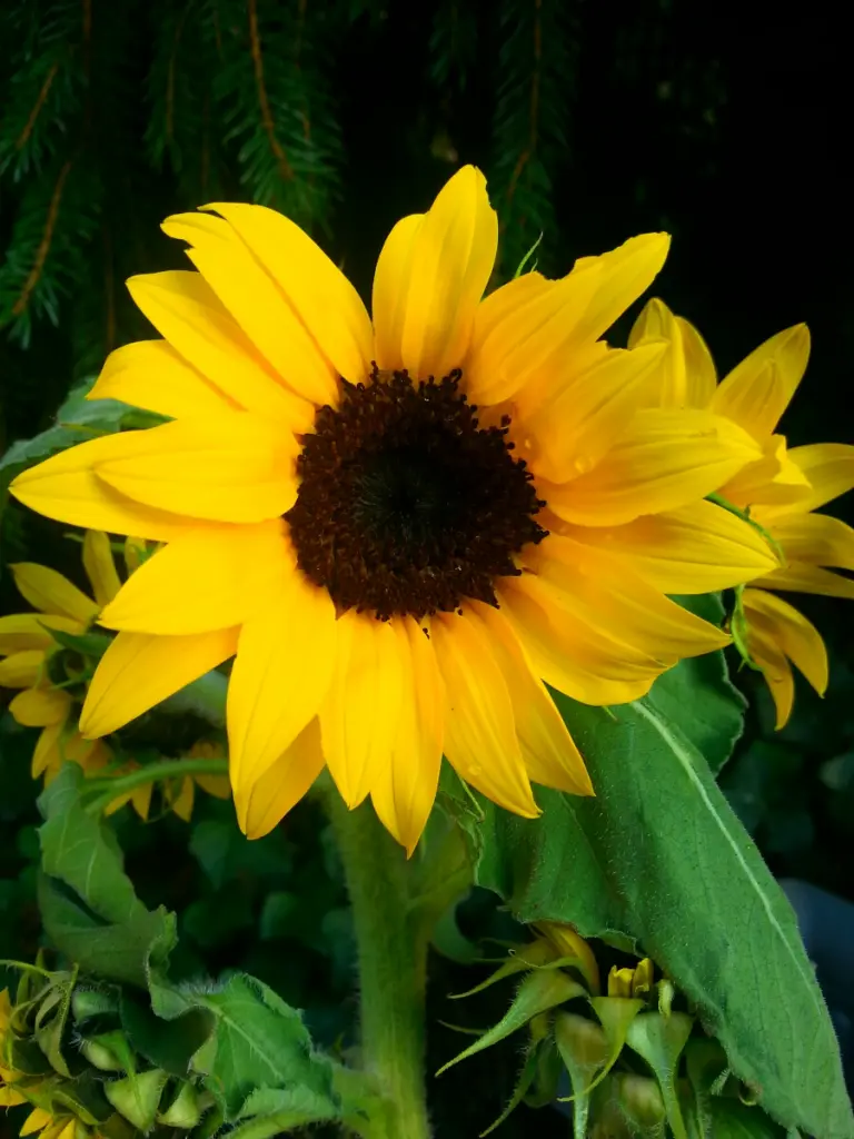 Andachtsbild von Sandra Huda