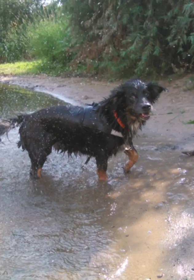 Image from Lucky