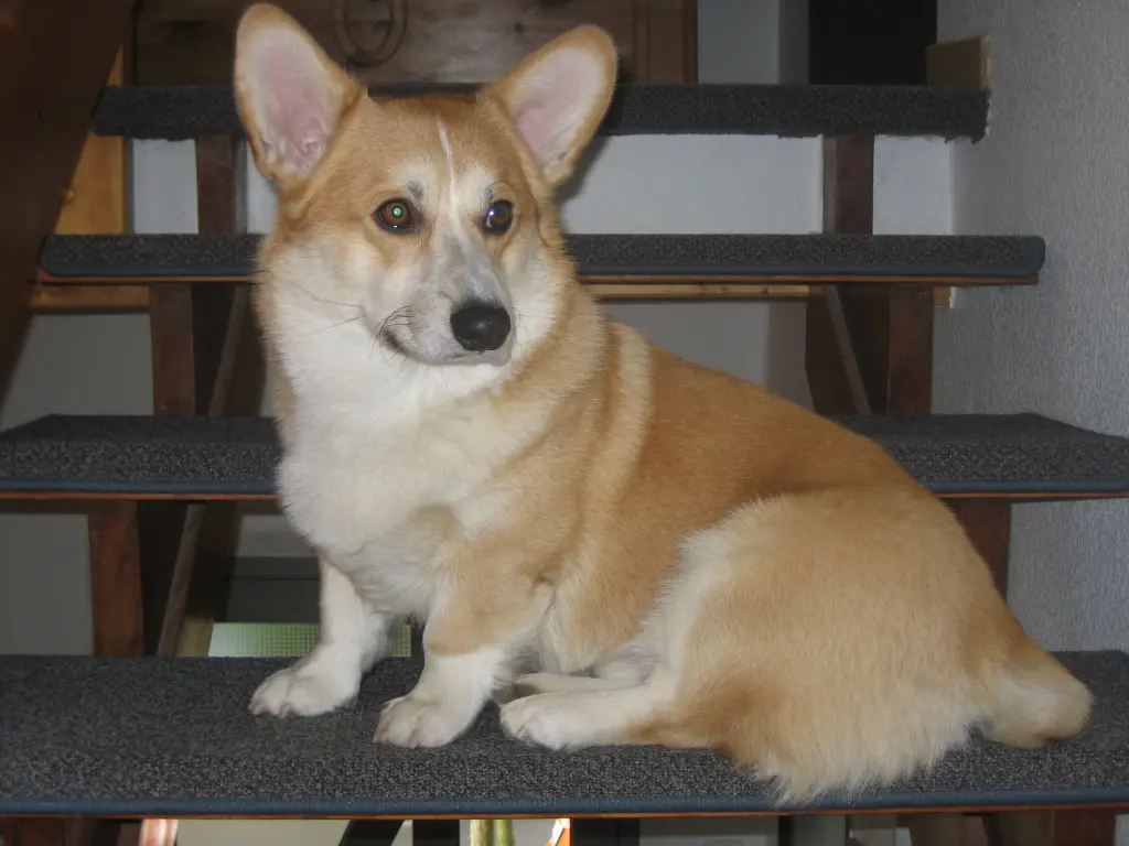 Bild von Charles