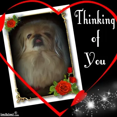 Image from Unsere geliebte S I N A