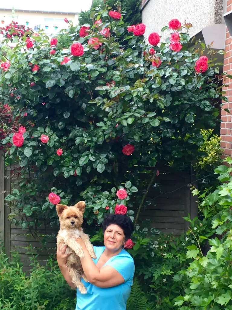 Andachtsbild von Jörg Hackenberg