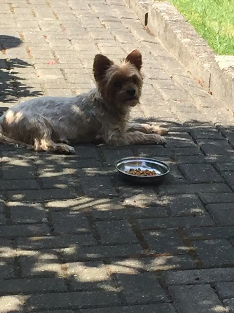 Andachtsbild von Unbekannt