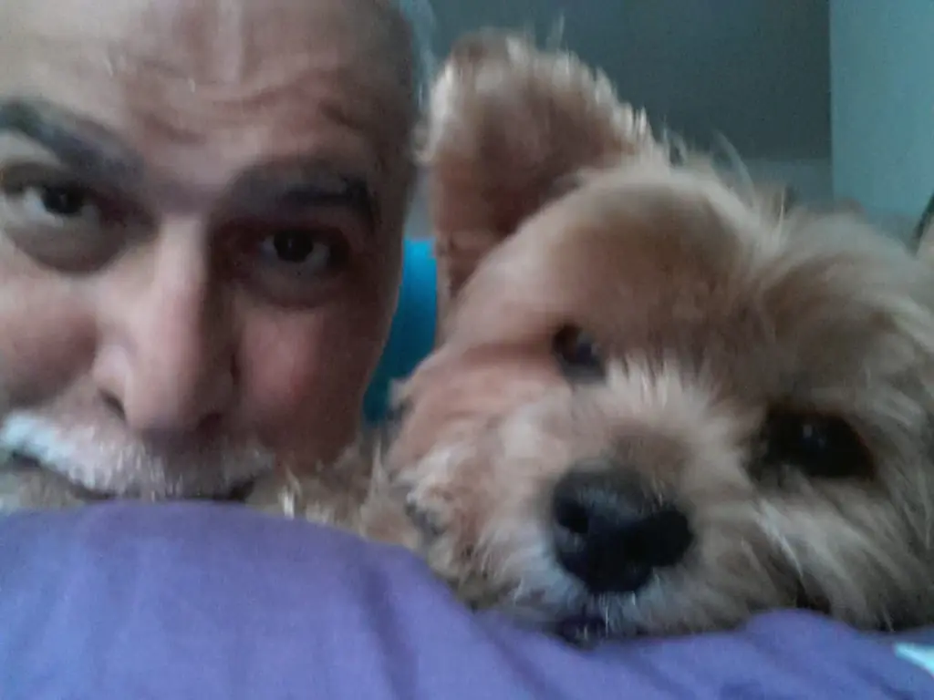 Andachtsbild von Unbekannt