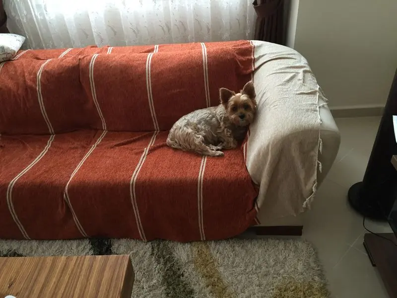 Andachtsbild von Unbekannt