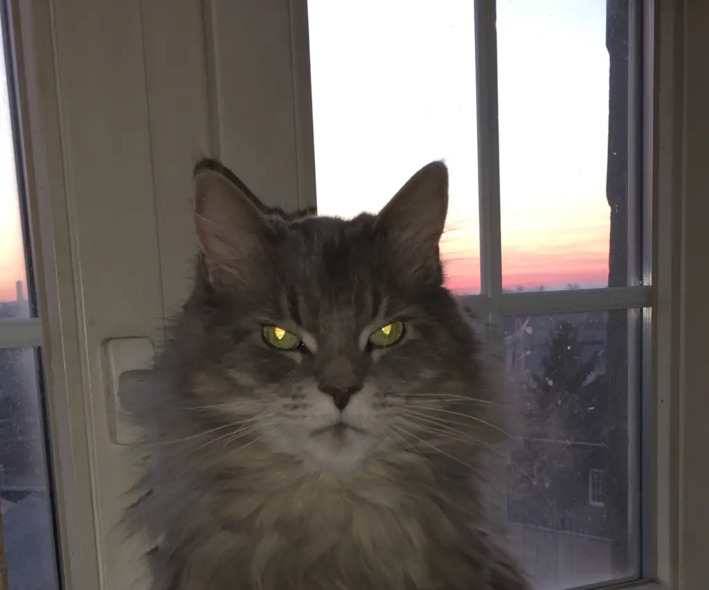 Image from Tristan
