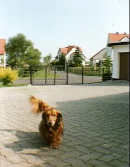 Andachtsbild von Claudia mit Axel im Herzen